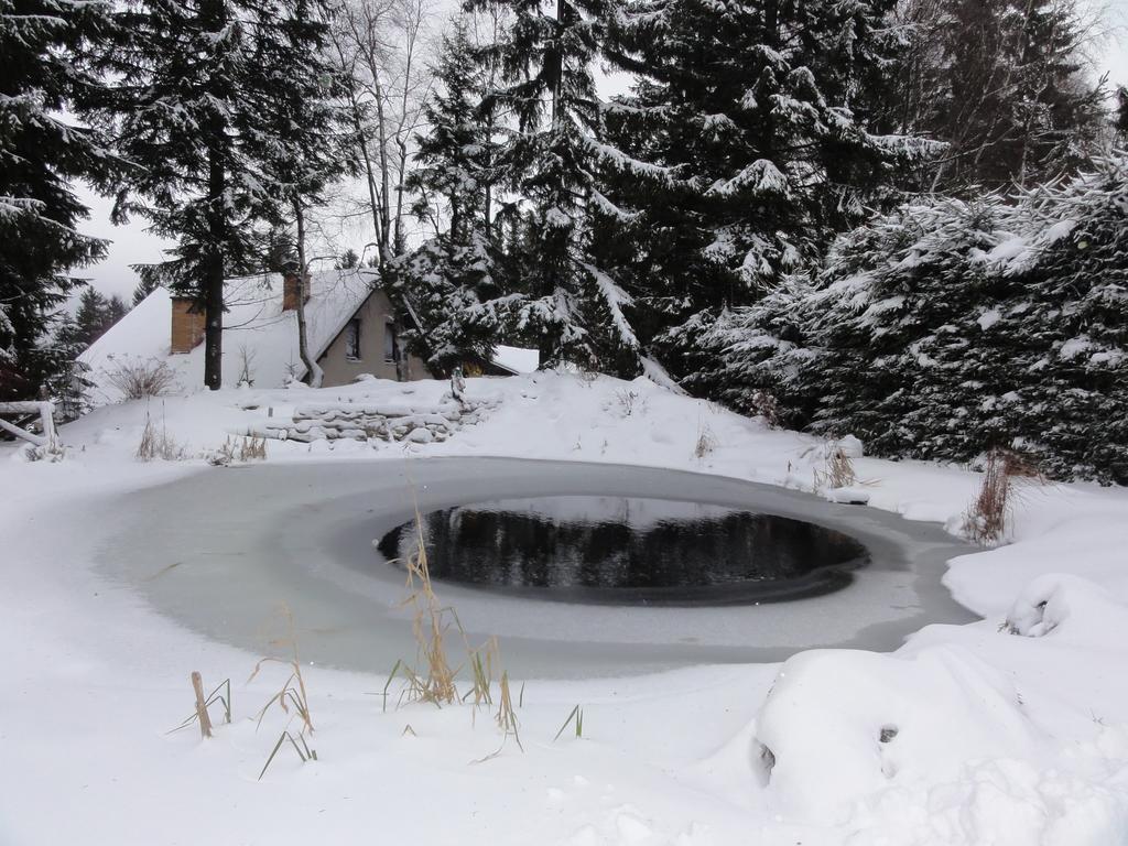 Hotel Pavla Vysocina Nove Mesto na Morave Exterior photo